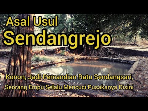 Video: Asal Usul Kuno Chihuahua