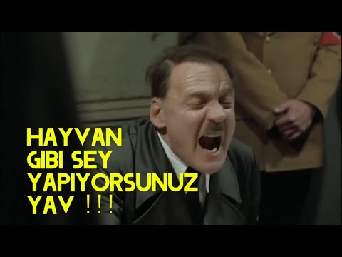 Hayvan gibi şey yapıyorsunuz