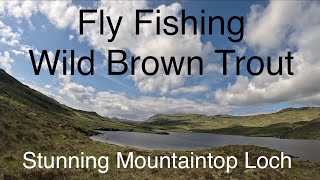 Great Day Fly Fishing a Remote Highland Loch - Wild Scottish Brown Trout