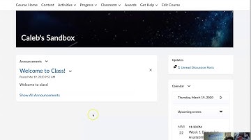 Creating and Assessing Online Discussions in Brightspace