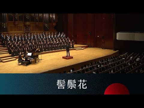 髻鬃花 Hair Bun Flower（葉國居詞／鄭朝方曲／張舒涵編曲）- National Taiwan University Chorus