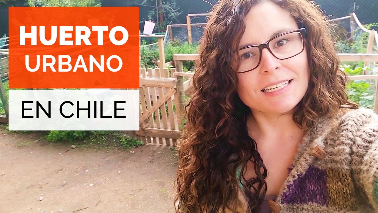 Conoce este HUERTO URBANO en CHILE! 🌱🥕🥬 Paseo por la huerta de Bosque Escuela #HuertoChileno