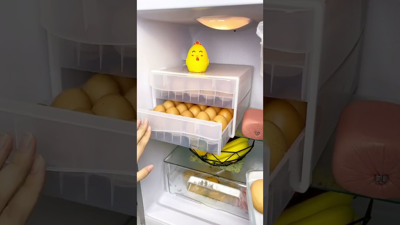 MosQuick Egg Tray 30 Eggs 