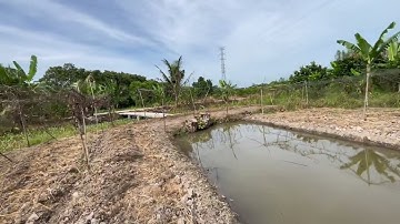 Bán 1.600m CLN, thuộc Ba Láng, Cái Răng, TPCT. Dt 22x97m, giá 1ty200, lh 082 3333 846 . Thật