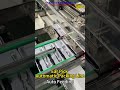 Ear Pick Automatic Packing Line.----Auto Feeding