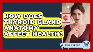 How Does Thyroid Gland Anatomy Affect Health? | Thyroid Wellness Hub