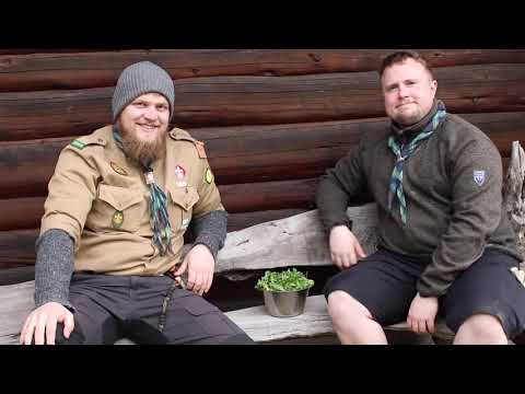 Video: Skov Urter Med Gule Blomster