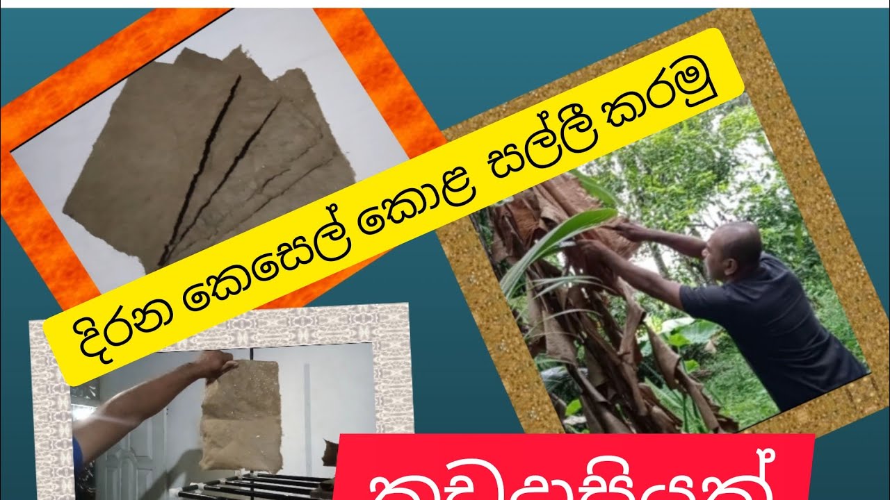 How to make a banana leaf paper,වියලි කෙසෙල් කොළවනින් සෑදු කඩදාසියක්.Eco-friendly, வாழை இலை காகிதம்'