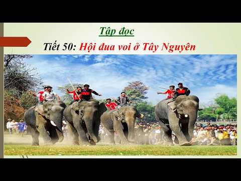 Tiếng Việt Khối 3: Tuần 25 - Tập đọc - Hội đua voi ở Tây Nguyên