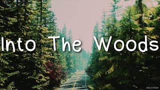 Vignette de la vidéo "Jonathan Morali - Into The Woods (Life Is Strange 2) Audio"