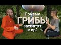 Про грибы | Как грибы захватят мир? Природный интернет, взаимопомощь и экология