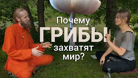 Про грибы | Как грибы захватят мир? Природный интернет, взаимопомощь и экология