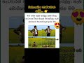 ඔයාලත් බලලා තියනවාද... 😂😍 #videovlog #youtube #shorts