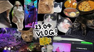 23.04 VLOG | 야간벚꽃, 터키아이스크림, 경찰과도둑, 뮤직플레이어, 캣휠, 고양이장난감