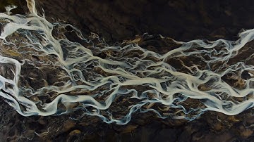 PØLAR - dark (Official Video)