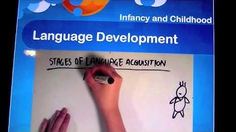 Ch. 8 Development Across the Life Span