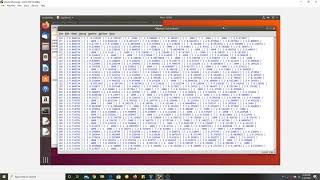 CS 206 - Assignment #9 - Genetic Algorithm