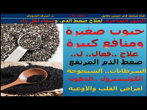 فيديو: مكونات أغذية الحيوانات الأليفة 