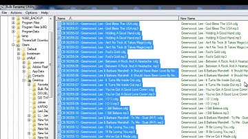Files Naming In Quanity