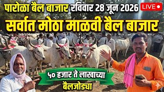 रविवार पारोळा बैल बाजार live 🔴 28 जून 2026 || Parola Bail Bajar माळवी बैल बाजार #bail_bazar_bhav 