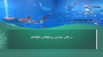ته فسيرا ب ساناهي سورة(القيامة)بدەنگی( تحسین إبراهيم دوسكي) قورئان خوين (محمد صديق المنشاوي)