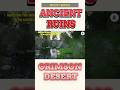 How to complete Red Light Green Light Mt Benus Puzzle? Crimson Desert