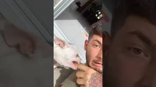 Niki bites me because she in love with me🤣 Wealth