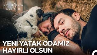 Erkan Ve Dicle Geceyi Ahırda Geçiriyor - Sevdiğim Sensin 11. 