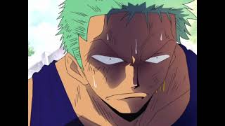 Zoro Saves Robin