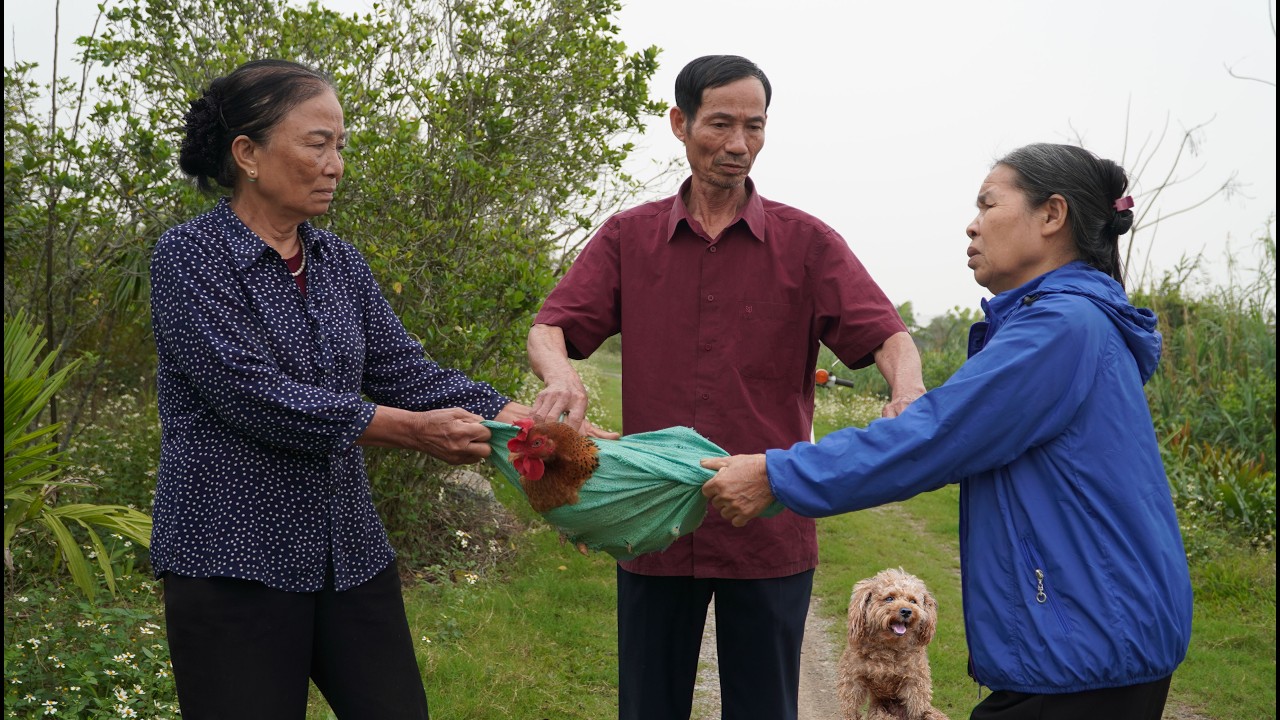 Mr. Dai was embarrassed when Mrs. Sam caught his wife stealing their daughter-in-law's chickens.