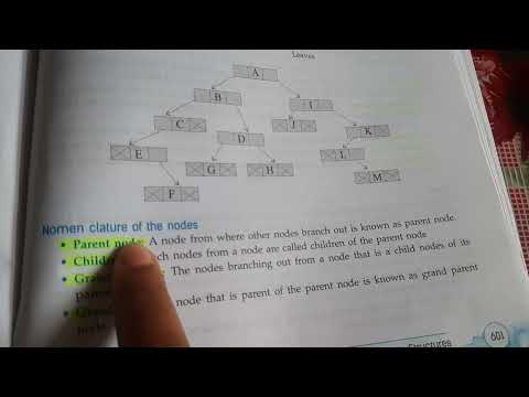 Data structure