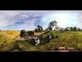 360 Video Elephant walk,  Oculus Rift VR - Photos of Africa