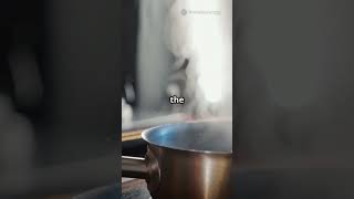 Saturated Liquid vs Saturated Vapour π₯π¨ #ScienceSimplified Saturated Liquid vs Saturated Vapour π₯π¨ #ScienceSimplified