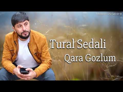 Tural Sedali - Qara Gozlum 2023 (Resmi Musiqi)