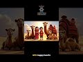 Camels In The Sand Matthew 19 24 Kids Scripture Song With Moving Lyrics Lighthouse Kids Music