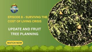 Episode 7 cost of living crisis | Update and fruit tree management