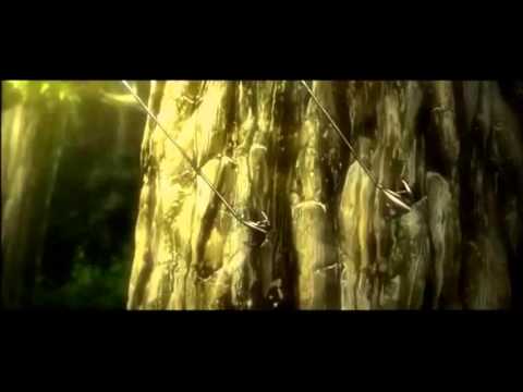 AMV 進撃の巨人 —-リヴァイ班— 【Call your name】