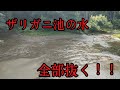 ザリガニ池の水、全部抜く!!