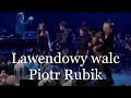 Piotr rubik  lawendowy walc