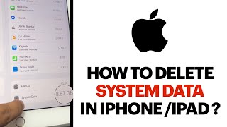 How to delete system data in IPhone/IPad ?