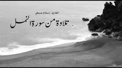 سوره النمل والصوت الهادئ