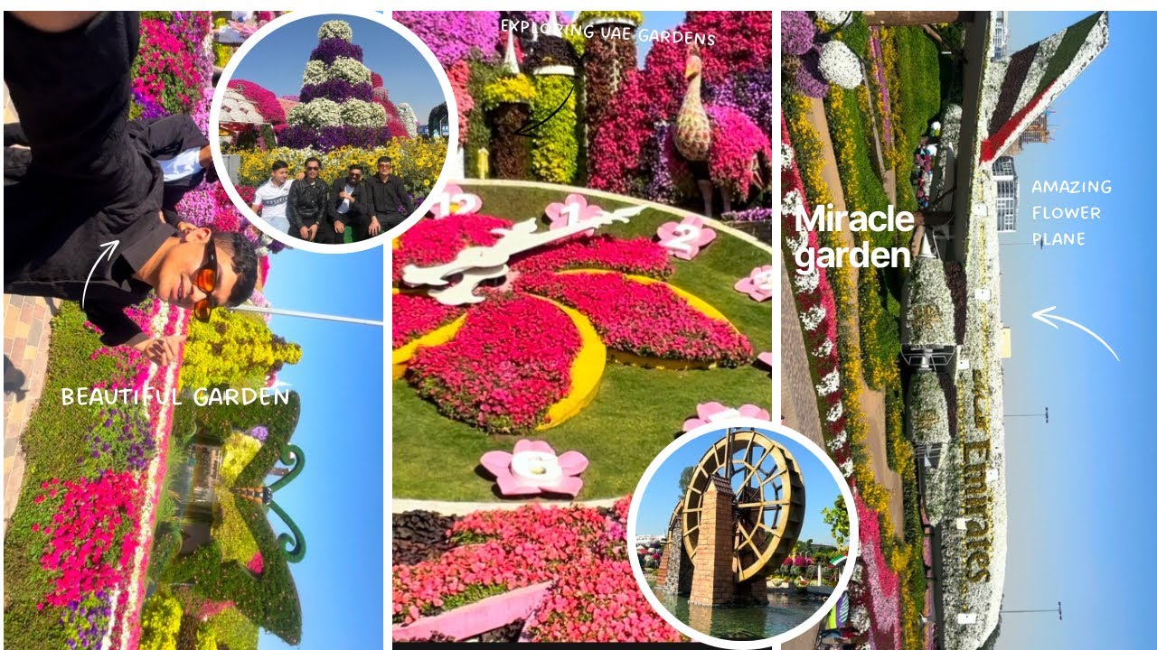  World largest natural flowers garden 😱😱miracle garden in Dubai 