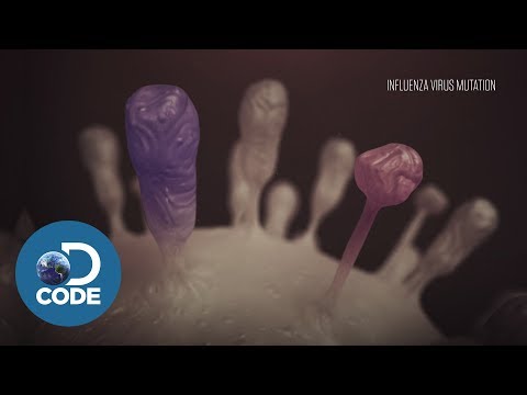 Video: Genomisk Overvågning Af Aviær Influenza A-virus, Der Forårsager Menneskelig Sygdom