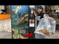 BUYING AQUARIUM Fish FROM A VENDING MACHINE! (WORLD'S FIRST)