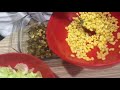 سلطة بيت نجان