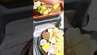 Lily's Nails & Spa Pampering Camp Fall Special