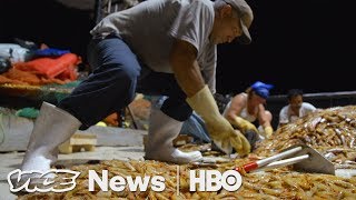 American Workers Are Learning That Shrimpin’ Ain’t Easy (HBO) American Workers Are Learning That Shrimpin’ Ain’t Easy (HBO)