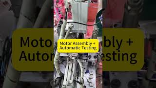 Brushed Motor for Small Home Appliance Products