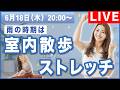 【生配信】6/18(木)20時集合!! 雨の季節は室内散歩&ストレッチで心も体もスッキリ!
