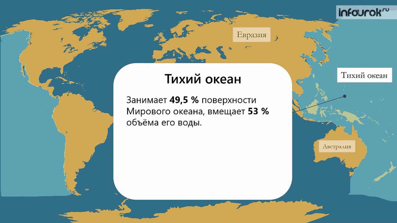 Какую часть занимает океан